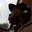 Darian Edwards's profile image