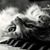 Patty Falck's profile image