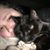 Harvey S Antczak's profile image