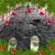 Kathy Buck's profile image