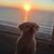 Deborah Farrell-Forth's profile image