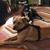 Kayte Godic's profile image