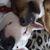 Angelina Gallegos's profile image