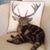 Karen Zaiglin Theodore's profile image