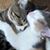 Brenda Huebner Greenwald's profile image