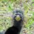 Carol Uminski Rose's profile image
