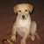 Vicki Stenmark's profile image