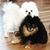 Janet Moret Clifton's profile image