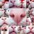Jewels Felines's profile image