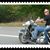 Michael Schofield's profile image