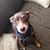 Patti Chappell's profile image