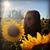 Emily Ackerman's profile image