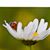 Ethel Poulin Donovan's profile image
