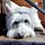 Cat McManus's profile image