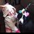 Debra E. Grout's profile image