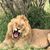 Bob Newland's profile image