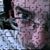 Kevin RynDog Ryno's profile image
