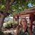 Chandra Marie's profile image