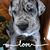 Amy Dionne Wadland's profile image