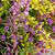 Nancy Smith Klos's profile image