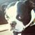 Darrin M.'s profile image