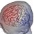 Steven Shofner's profile image