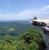 Allison Crosby Kunkle's profile image