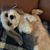 Deb Hayes's profile image