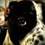 Brandon Flook's profile image