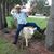 Mike Greenwood's profile image