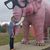 Lorna Olson's profile image