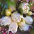 Geraldine Bowling's profile image