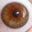 Jennifer Miller's profile image