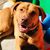 Jackie Bailey's profile image