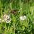 Barb Huebner's profile image