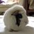 Lori Phillips's profile image