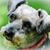 Elvis Harold Vaughn's profile image