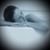 Sarah Peischl's profile image