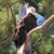 Dawn Billings Mantia's profile image
