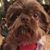 Mary Daugherty's profile image