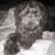 Sharae Robinson's profile image