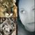 Ceci Madruga's profile image