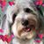 Karen Haynes's profile image
