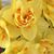 Michelle Kemplin's profile image