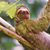 Elizabeth Knipp's profile image