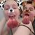 Layne Gibbs's profile image