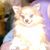 Ed Donaldson's profile image