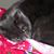 Regina Tackett's profile image