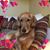 Beda Carlson's profile image