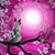 Rebecca Staats's profile image